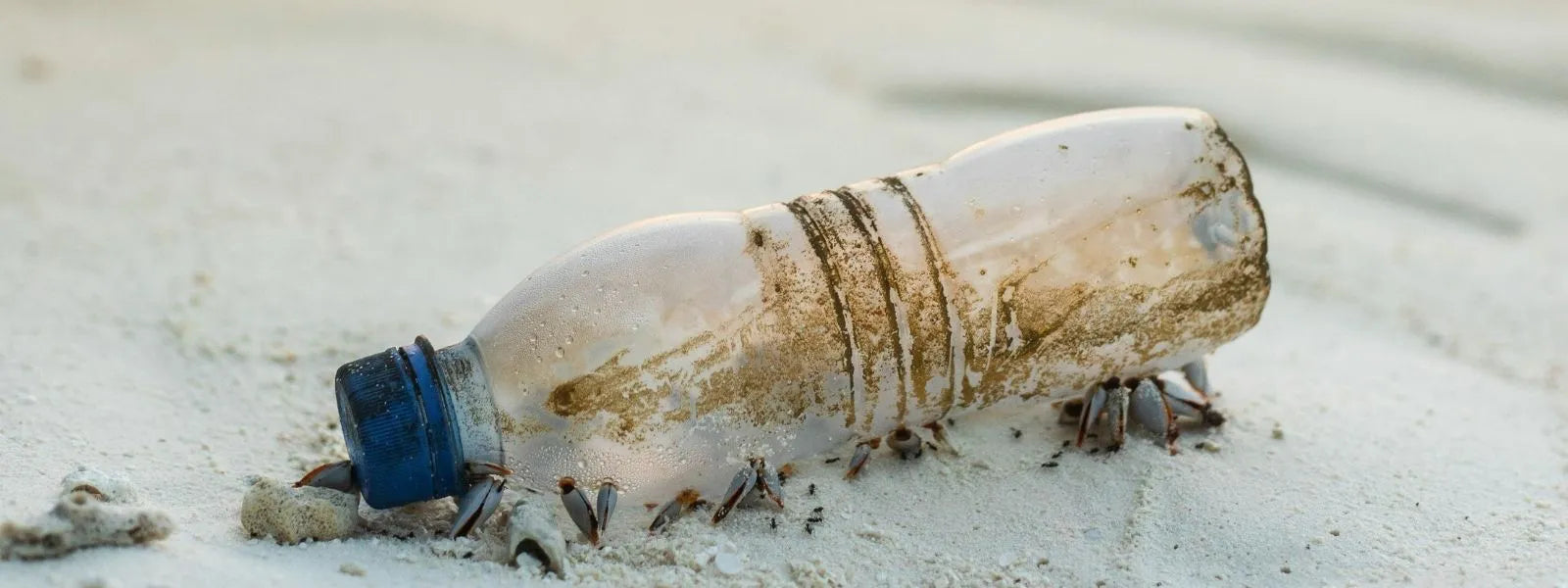 Plastic bottle on sand, desktop hero banner image for House of Dune