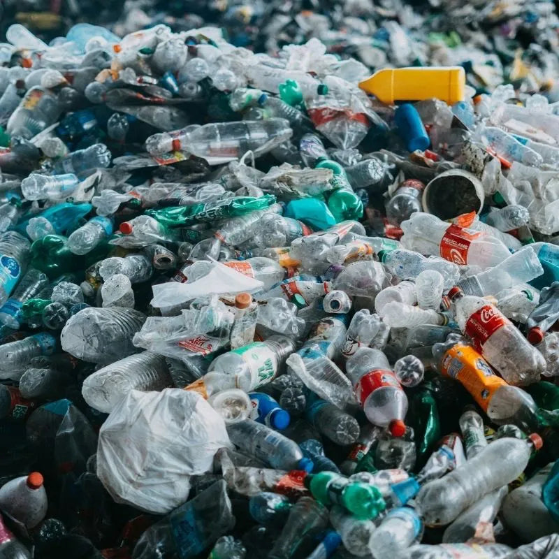 Pile of collected plastic bottles, sustainability editorial image for House of Dune.